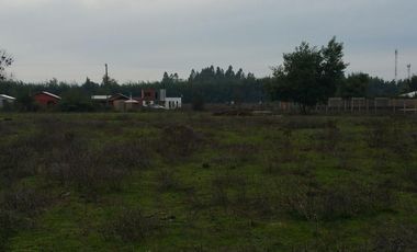 PARCELA DE 5.000 M2, EN SECTOR VARA GRUESA, COMUNA DE LINARES.