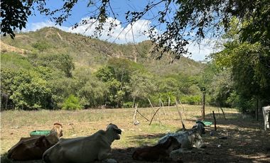 LOTE 2. VENTA LOTE COMERCIAL - Santa Fe de Antioquia - Sopetrán