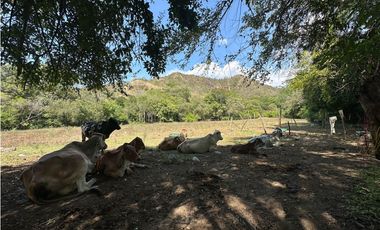 LOTE 2. VENTA LOTE COMERCIAL - Santa Fe de Antioquia - Sopetrán