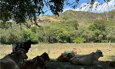 LOTE 2. VENTA LOTE COMERCIAL - Santa Fe de Antioquia - Sopetrán