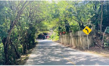 LOTE 2. VENTA LOTE COMERCIAL - Santa Fe de Antioquia - Sopetrán