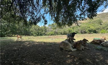 LOTE 2. VENTA LOTE COMERCIAL - Santa Fe de Antioquia - Sopetrán