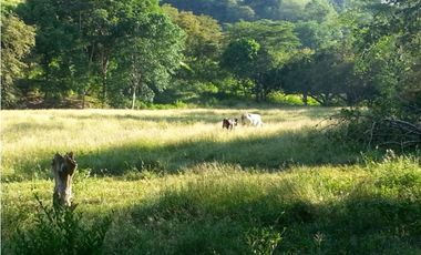 LOTE 2. VENTA LOTE COMERCIAL - Santa Fe de Antioquia - Sopetrán