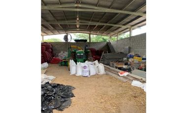 Se vende Finca Agropecuaria Penonome