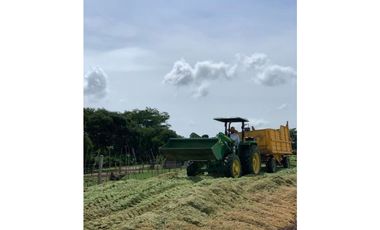 Se vende Finca Agropecuaria Penonome