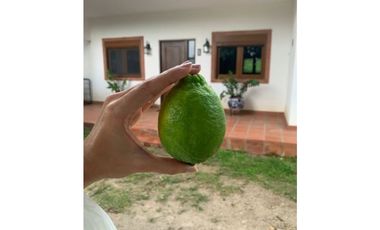 Se vende Finca Agropecuaria Penonome