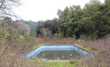 Amplio terreno para inversión, gran ubicación y bosque constituido, Hualqui