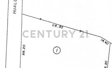 Amplio terreno para inversión, gran ubicación y bosque constituido, Hualqui