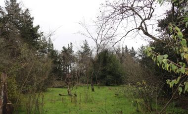 Amplio terreno para inversión, gran ubicación y bosque constituido, Hualqui