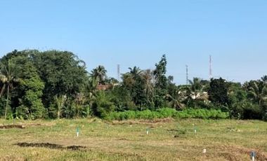 Villa Dijual Plus Smarthome Gratis kolam renang Hook Tanah Luas Dekat Wisata Gn Bunder Bogor
