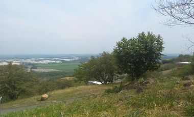 lote en venta en parcelación campestre laguna seca. Cod V107937