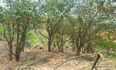 lote en venta en parcelación campestre laguna seca. Cod V107937