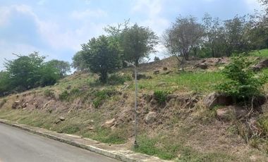 lote en venta en parcelación campestre laguna seca. Cod V107937