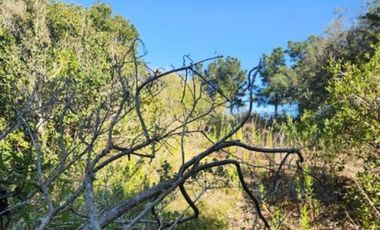 Sitio en venta en Algarrobo Norte