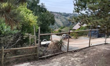 Sitio en venta en Algarrobo Norte