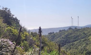 Sitio en venta en Algarrobo Norte