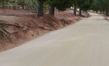 Sitio en venta en Algarrobo Norte