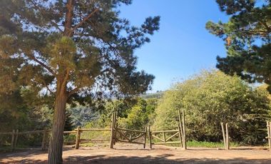 Sitio en venta en Algarrobo Norte