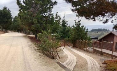 Sitio en venta en Algarrobo Norte