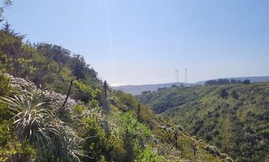 Sitio en venta en Algarrobo Norte