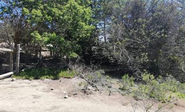 Sitio en venta en Algarrobo Norte