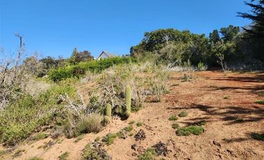 Sitio en venta en Algarrobo Norte
