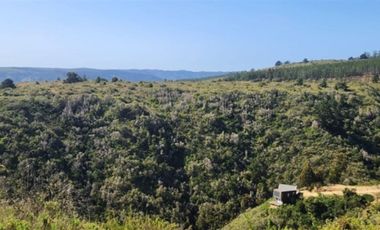 Sitio en venta en Algarrobo Norte