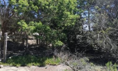 Sitio en venta en Algarrobo Norte