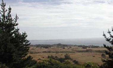 Sitio en venta en Algarrobo Norte