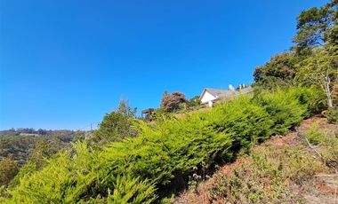 Sitio en venta en Algarrobo Norte