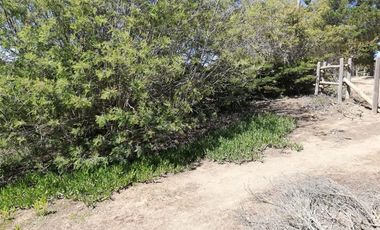 Sitio en venta en Algarrobo Norte