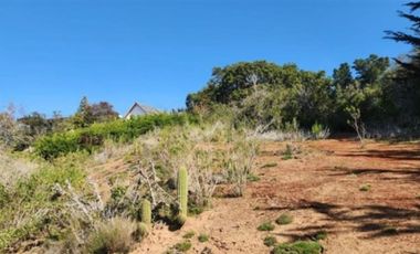 Sitio en venta en Algarrobo Norte