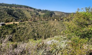 Sitio en venta en Algarrobo Norte