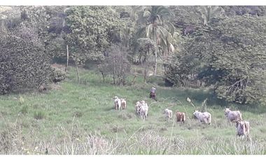 VENDO 11 HECTAREAS PONUGA