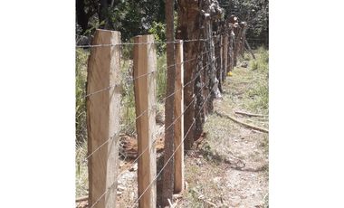 VENDO 11 HECTAREAS PONUGA