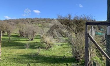 Sitio en Venta en Sector los Maitenes