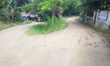 2720 M2 (6,8 Patok) Kebun Bambu Hook di Desa Rende, Cikalong Wetan, Bandung Barat