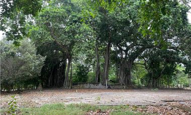 VENTA DE DOS LOTES DE PLAYA  EN TOLÚ SUCRE