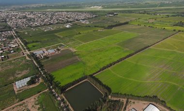 Terreno en Perico