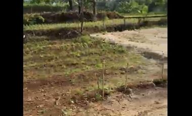 Dijual Tanah Dekat Water Park Di Majasari Pandeglang