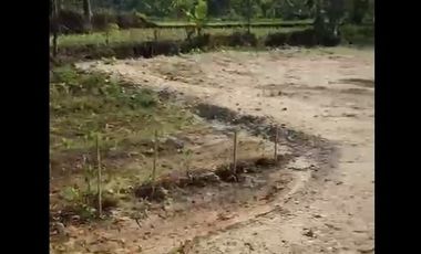 Dijual Tanah Dekat Water Park Di Majasari Pandeglang