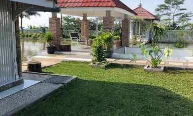 Dijual Tanah Dekat Water Park Di Majasari Pandeglang