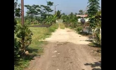 Dijual Tanah Dekat Water Park Di Majasari Pandeglang