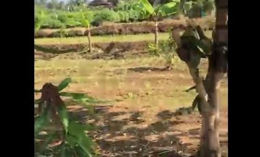 Dijual Tanah Dekat Water Park Di Majasari Pandeglang