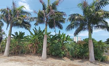 Vendo lindo terreno de 1800m2 en Tonsupa, Av. del Pacífico, acepto ofertas