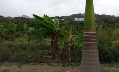 Vendo lindo terreno de 1800m2 en Tonsupa, Av. del Pacífico, acepto ofertas