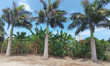 Vendo lindo terreno de 1800m2 en Tonsupa, Av. del Pacífico, acepto ofertas