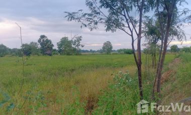 Land for sale in Sak Lek, Phichit