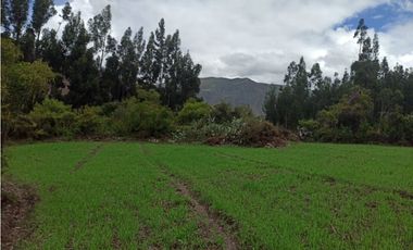 VENDO TERRENO 4980 M2 VALLE SAGRADO  YANAHUARA URUBAMBA CUSCO PERU
