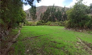 VENDO TERRENO 4980 M2 VALLE SAGRADO  YANAHUARA URUBAMBA CUSCO PERU